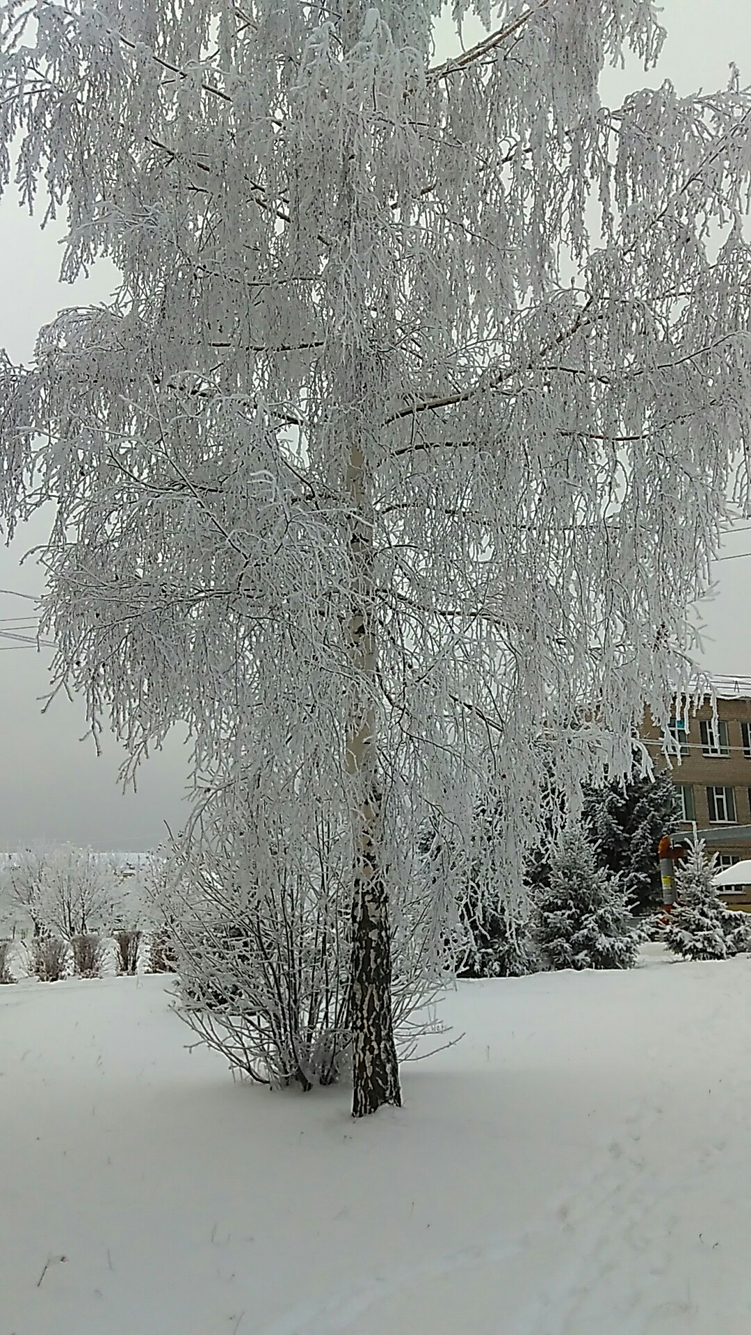 фотография из вКонтакте