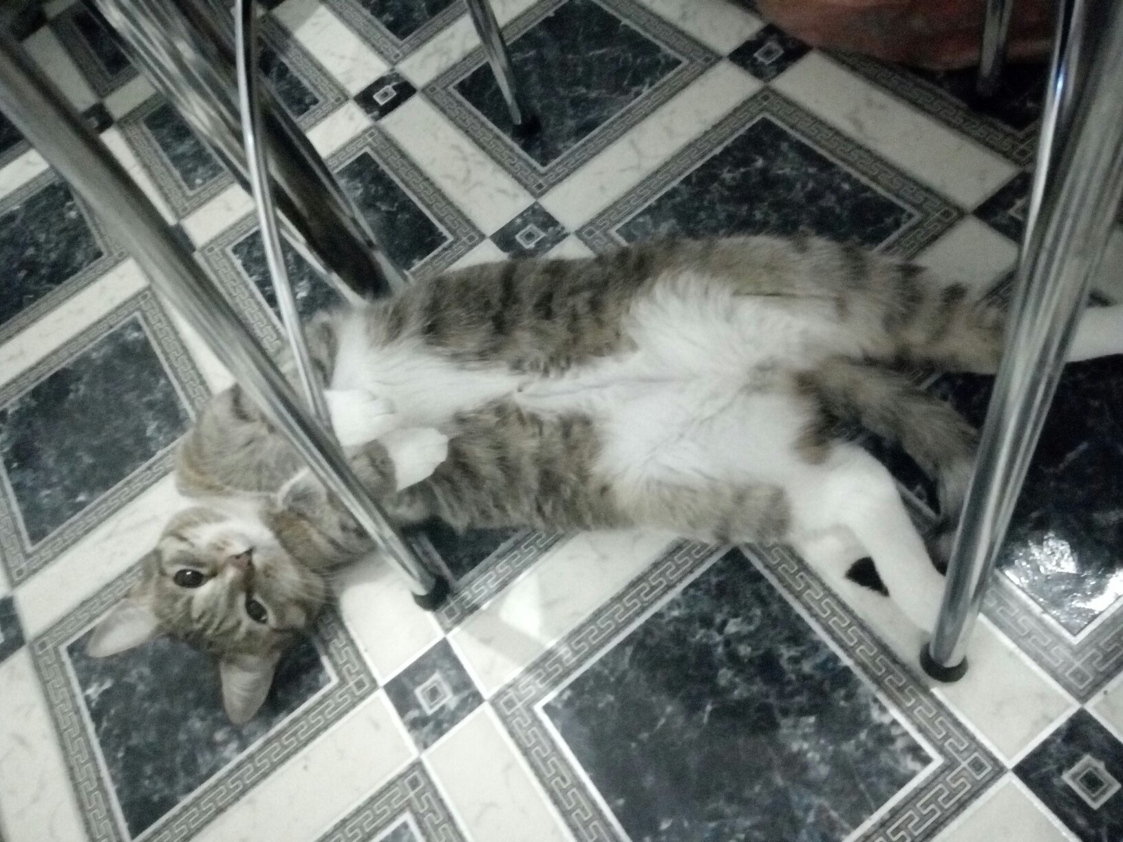 фотография из вКонтакте