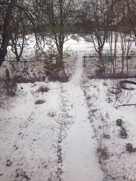 фотография из вКонтакте