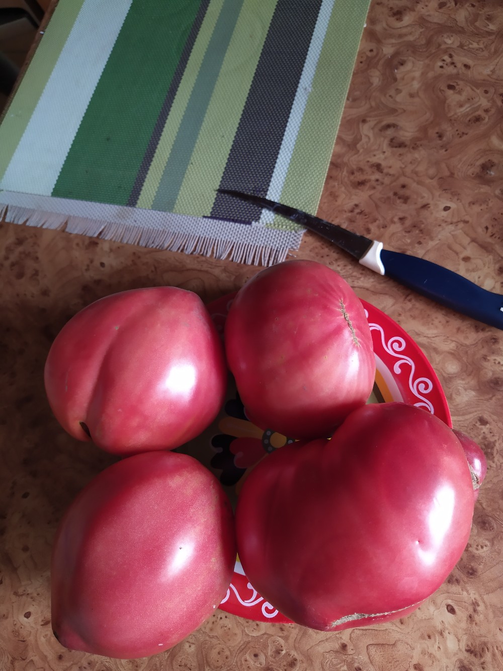 фотография из вКонтакте