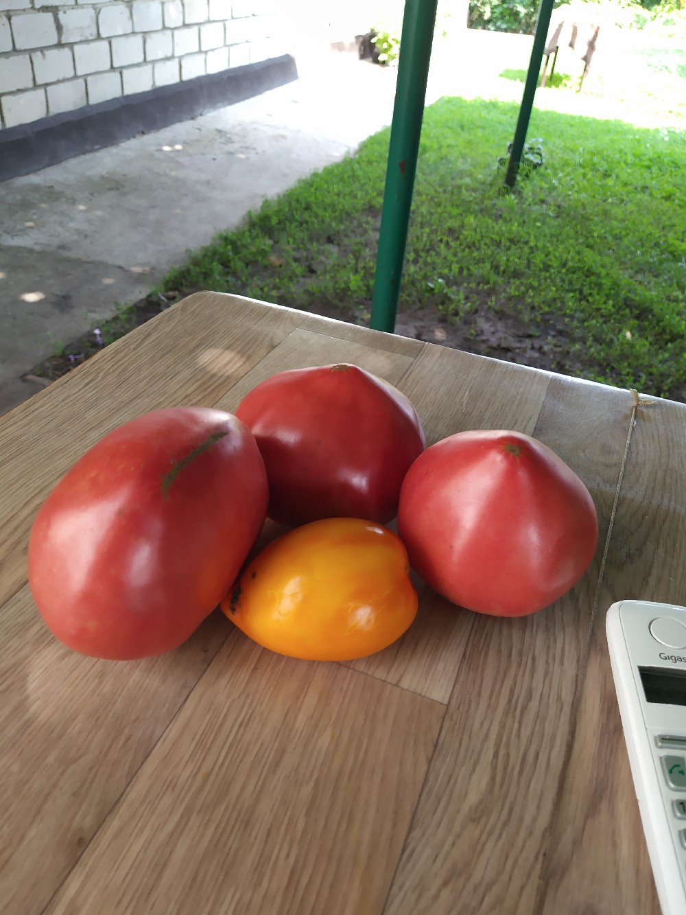 фотография из вКонтакте