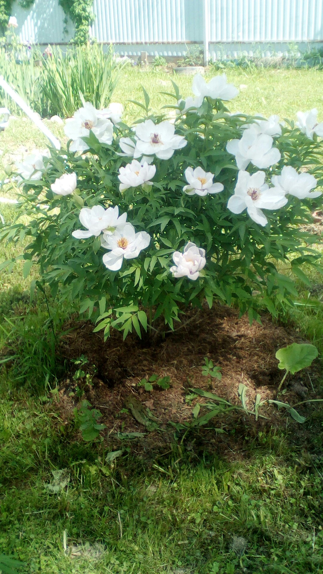 фотография из вКонтакте