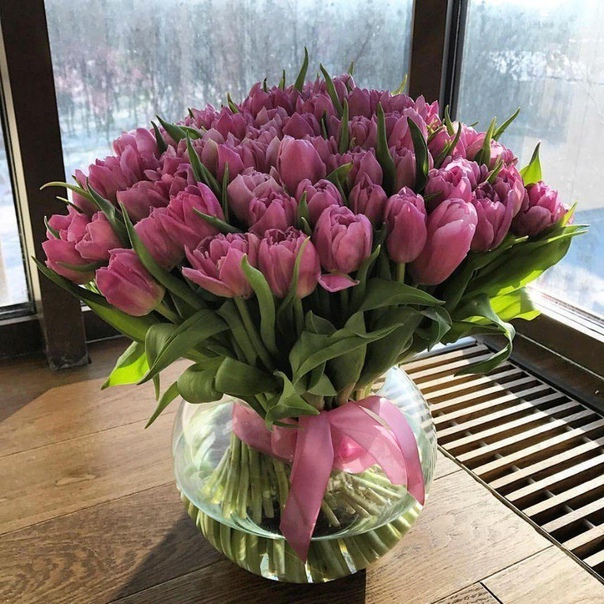 фотография из вКонтакте