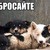 Фото пользователя Оксана