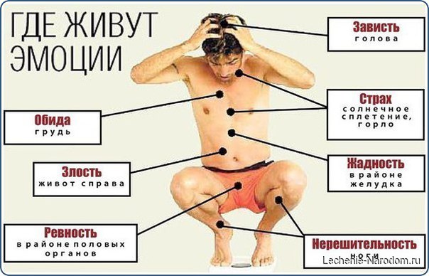 СИЛА И ЭНЕРГИЯ