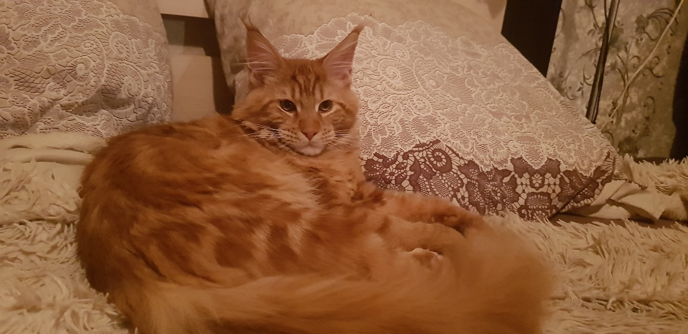 фотография из вКонтакте