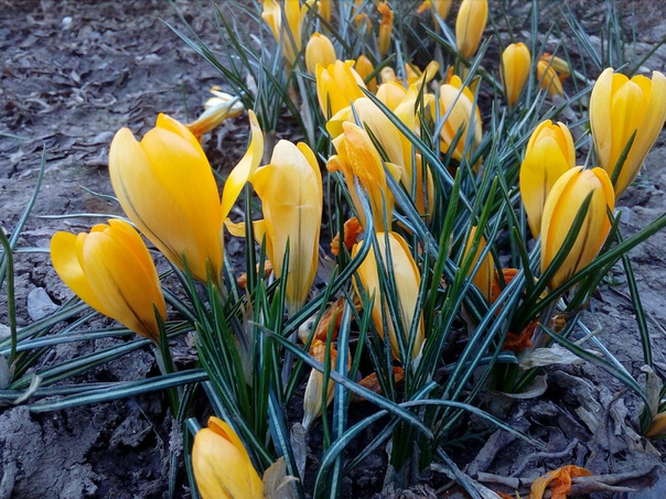 фотография из вКонтакте