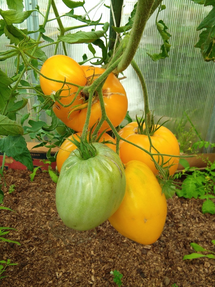 фотография из вКонтакте