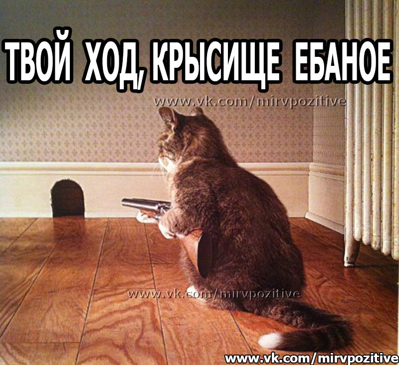 TqzNmXMgVi8.jpg