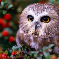 Анна Иванова