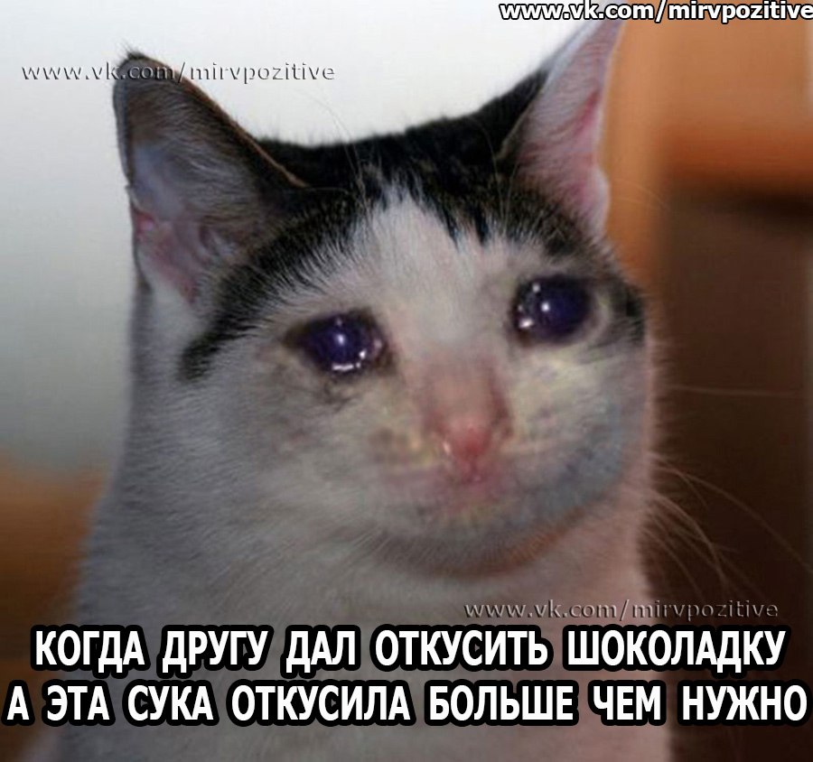 IAWsCiDKfoY.jpg