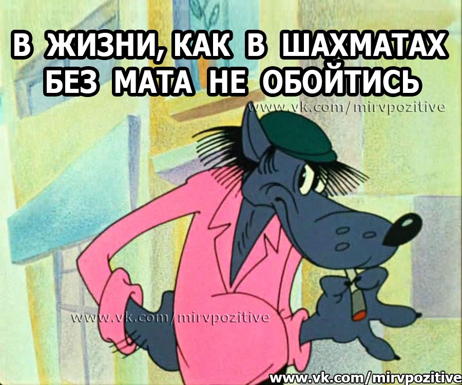 SO04SWS1Gz0.jpg