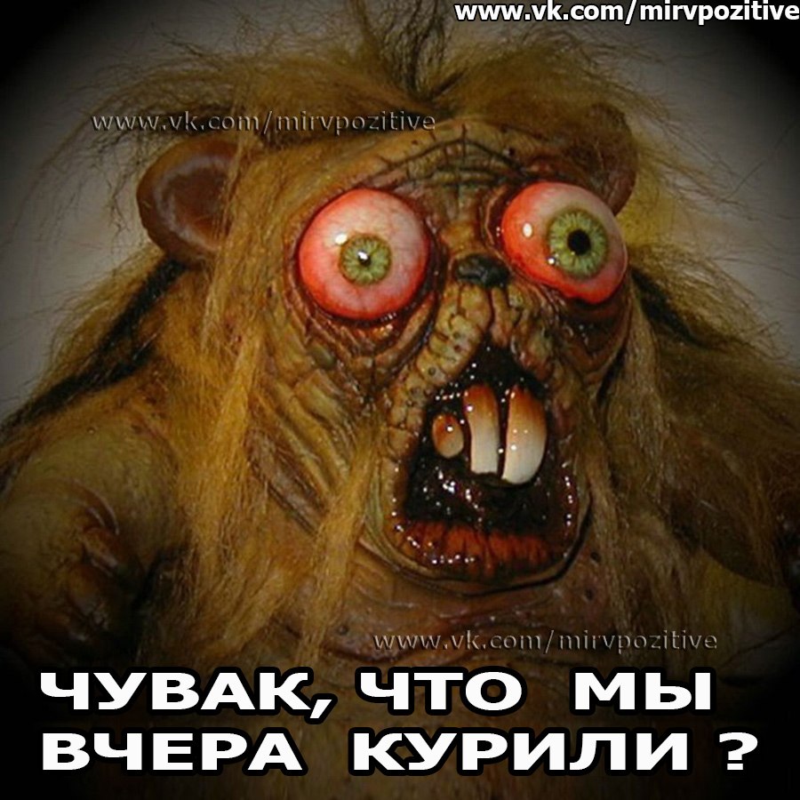 _iJ9yDKuNaI.jpg