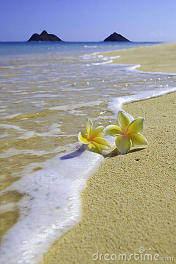 https://pp.userapi.com/c7004/v7004836/29717/DsiyFVZwGbE.jpg