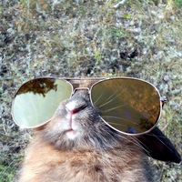 Андрей Пакки