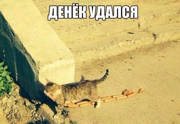 K_DsHcn0rcE.jpg