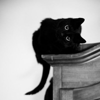 Лисса Лисса