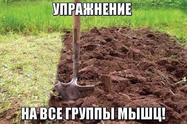 Весенний спортзал