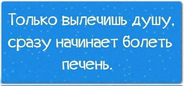 hFBtS5O6DFc.jpg