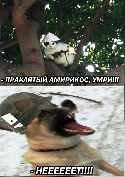 cHLwnkwjKTQ.jpg