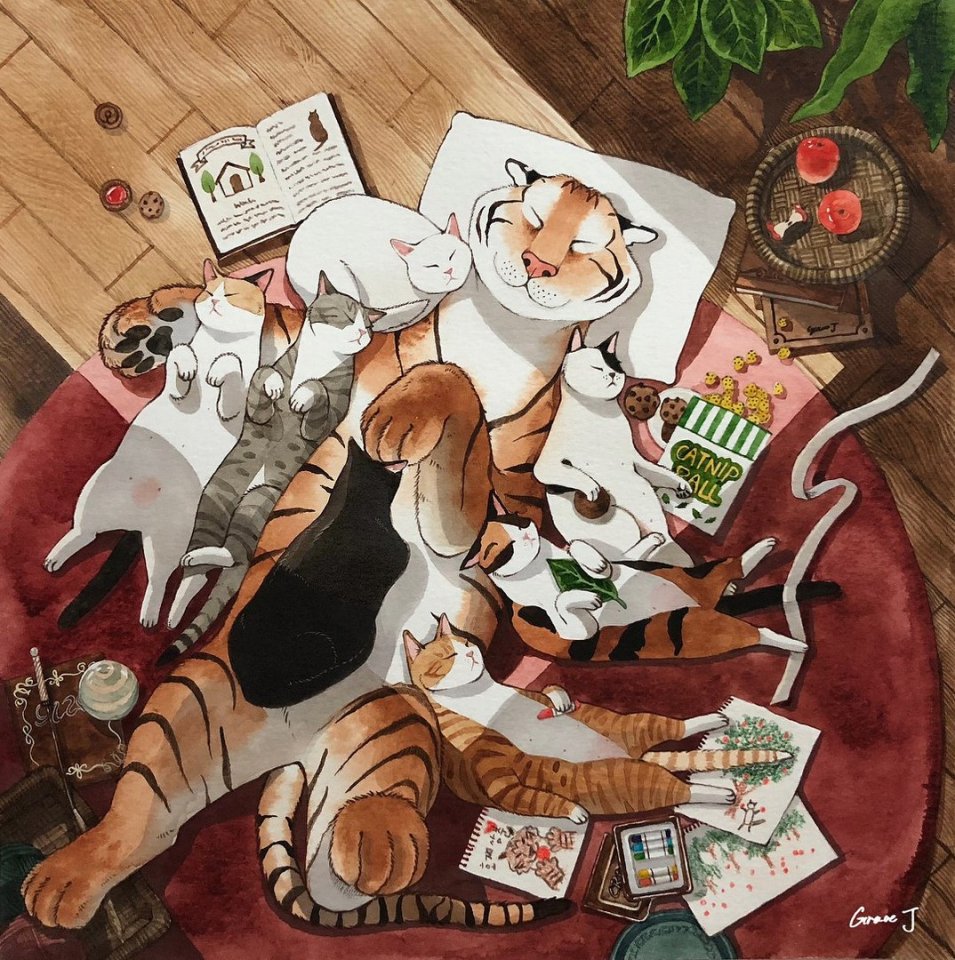 Кошки в нашей жизни. Кошки и все, что с ними связано.