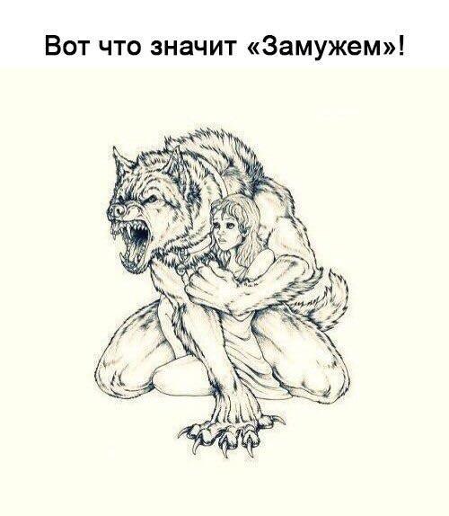 https://pp.userapi.com/c7006/v7006151/35f6f/uZQVFoXVCh4.jpg