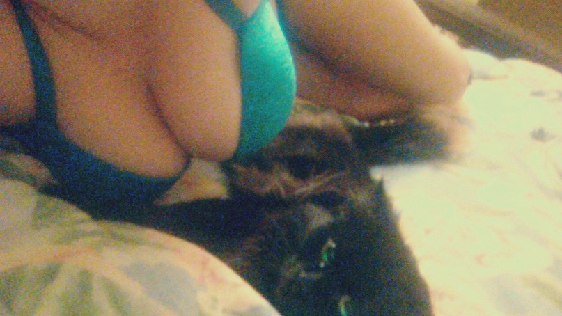 Hogtied auf dem Bett und kitzelte