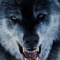 Михаил Преподобный