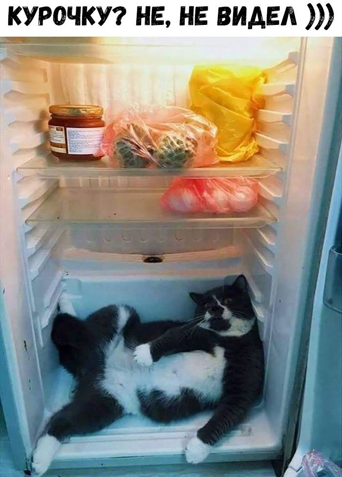 oQk_9PdklmE.jpg