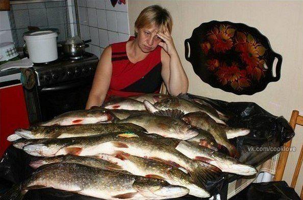 Лучше бы ты бухал на рыбалке как все нормальные мужики 
