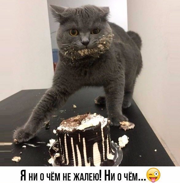 У кого дома такие шкодники 