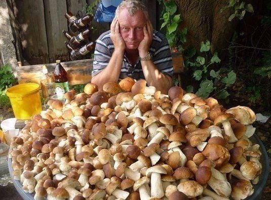 СУПЕРСКИЙ ГРИБНОЙ УРОЖАЙ 