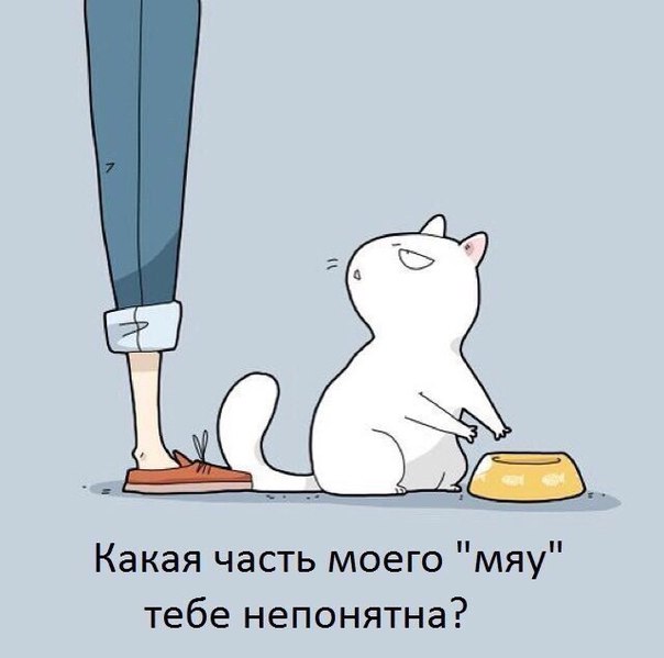 Ох уж этот глупый человек 