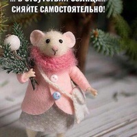 Елена Думанская | Медвежьегорск