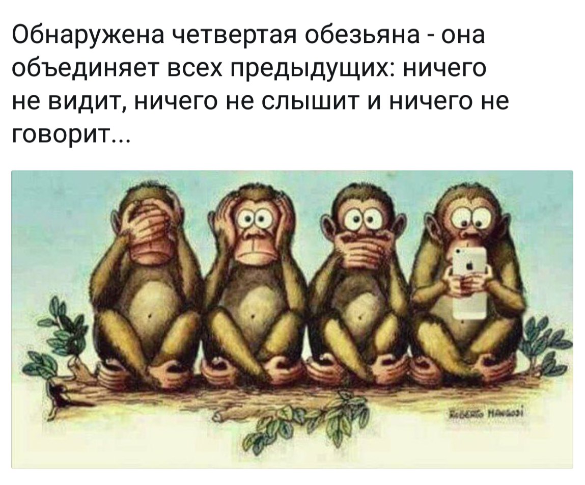 iN4oGVM6dEQ.jpg