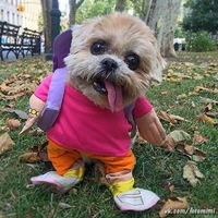 Сергей Левченко