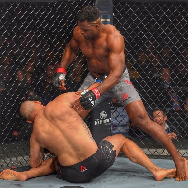 REDFURYMMA™