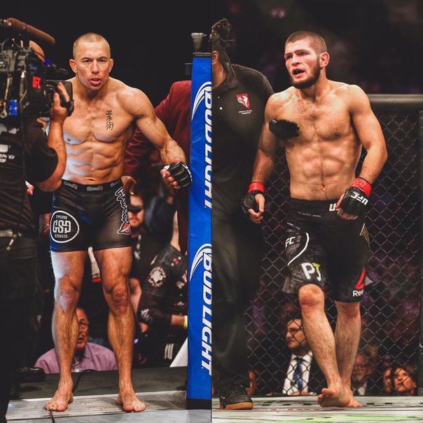 REDFURYMMA™