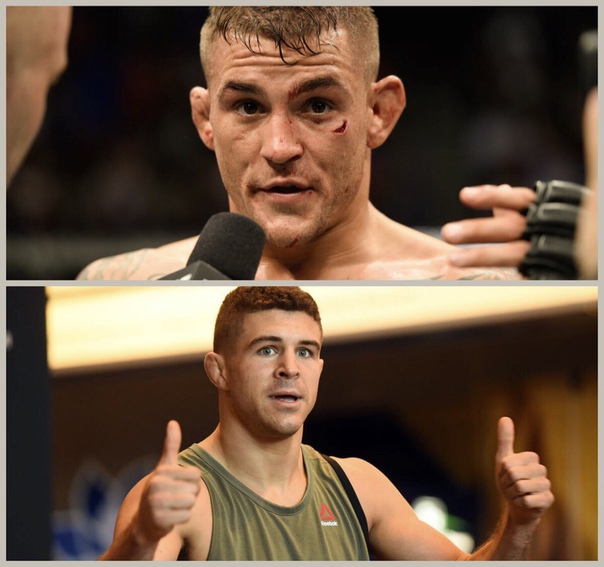 REDFURYMMA™