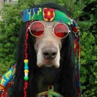 Роман Харламов