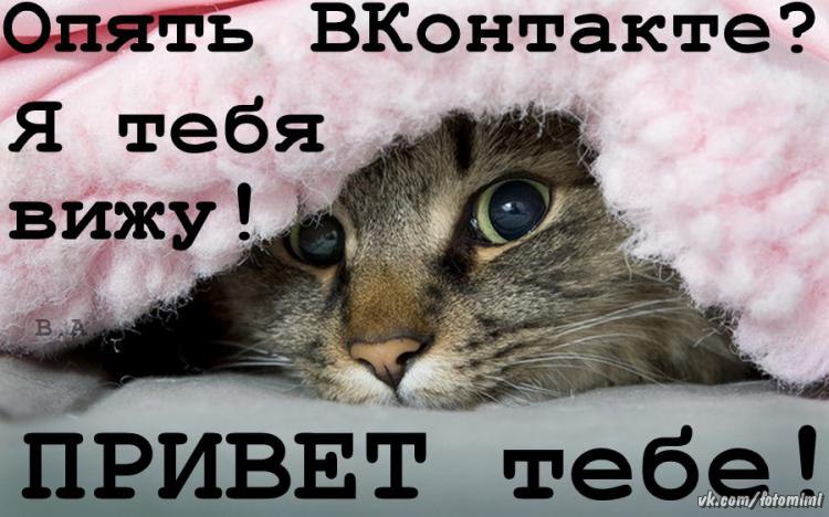 Картинки с надписью а ты видишь, картинки