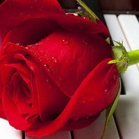 Галина Егорова