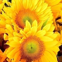 Наталия Суравова