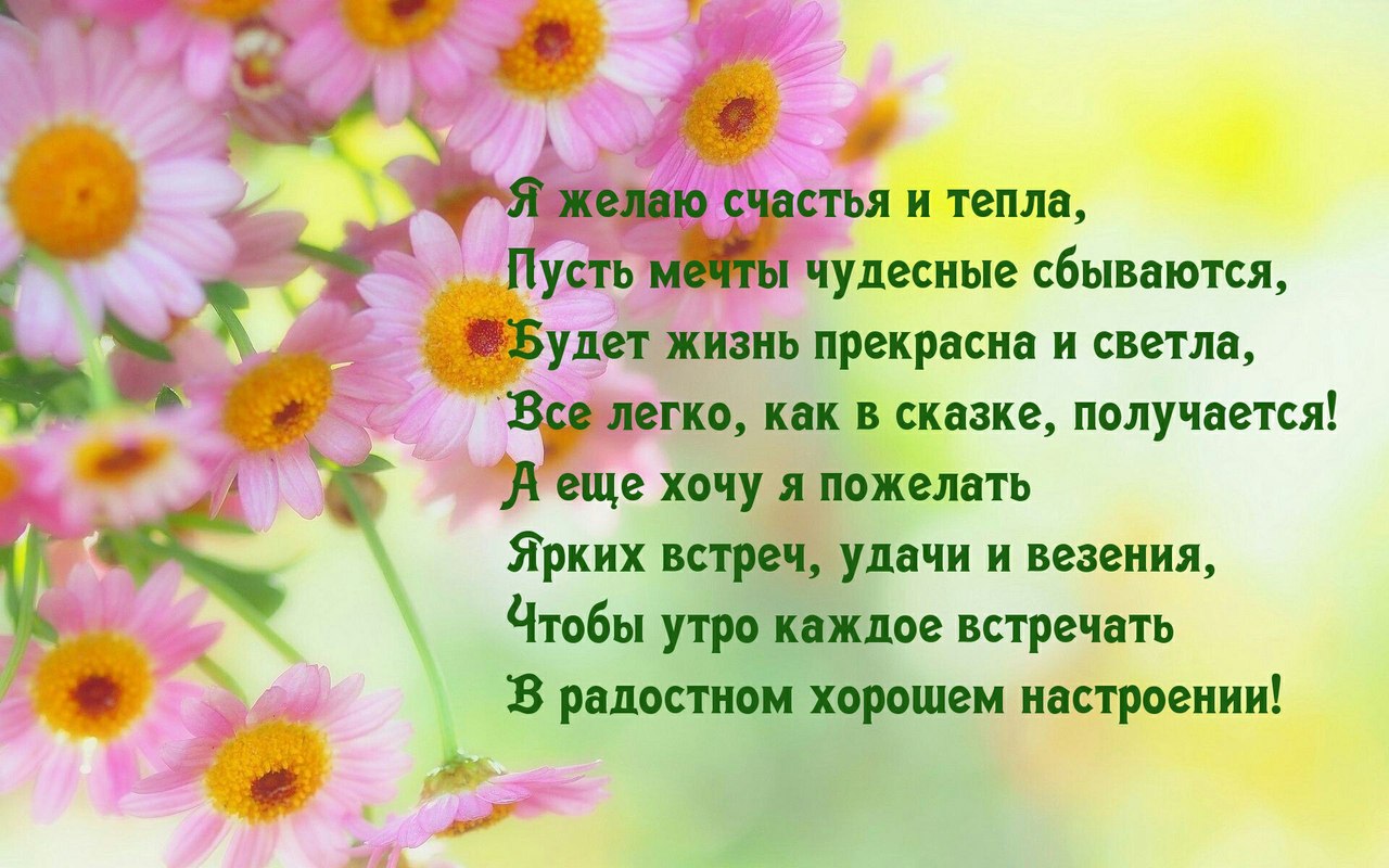 пусть яркой будет ваша жизнь стихи пвх легко мыть