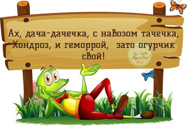 https://pp.userapi.com/c7008/v7008414/59b10/KlTHHT-0sqg.jpg