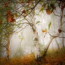 Марина Цветаева