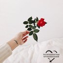 Не ищите никогда никому никаких оправданий.