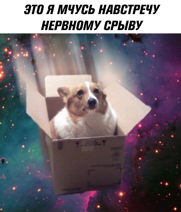 yBWcBs0QDXM.jpg