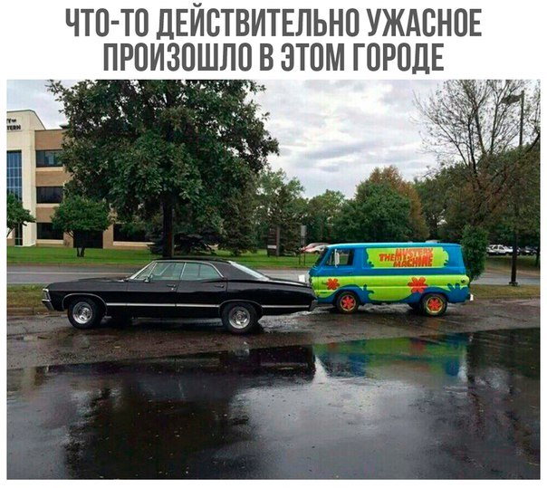 izM3FmP1Ne8.jpg