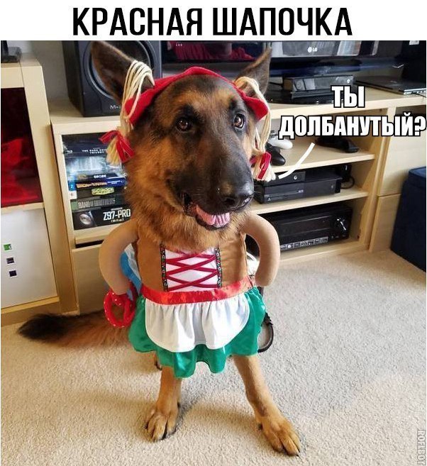 https://pp.userapi.com/c7008/v7008726/6f3e6/7SdePbUcWL4.jpg
